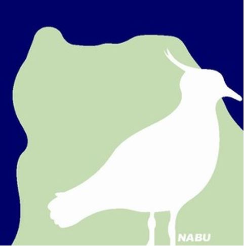 Ständiger Begleiter auf diesem Weg: Der Kiebitz